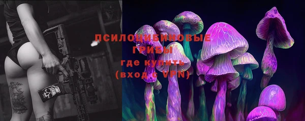a pvp Алзамай