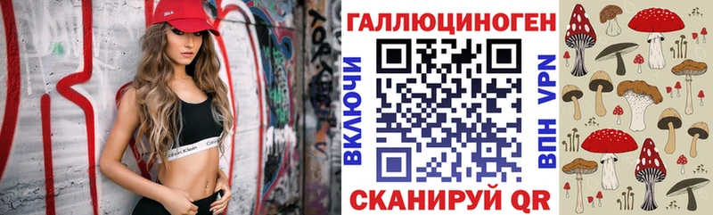 Галлюциногенные грибы Psilocybe  хочу   Кольчугино 